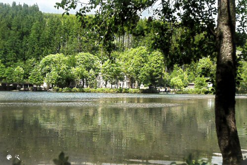 Hammerteich Lake in Georgenthal, Germany